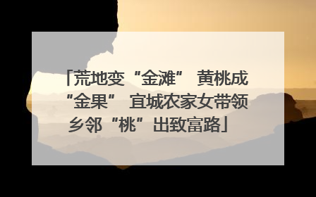 荒地变“金滩” 黄桃成“金果” 宜城农家女带领乡邻“桃”出致富路