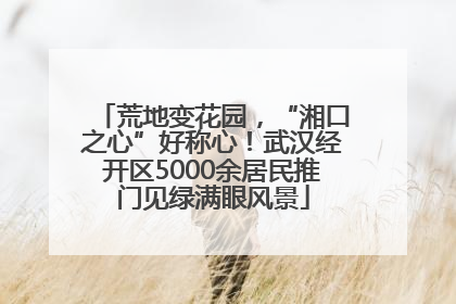 荒地变花园，“湘口之心”好称心！武汉经开区5000余居民推门见绿满眼风景