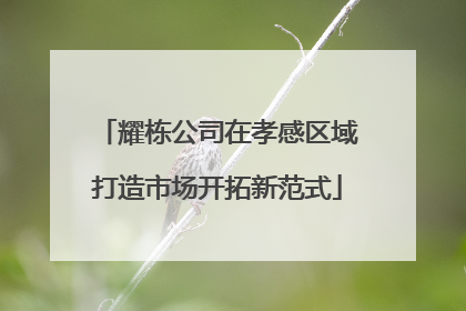 耀栋公司在孝感区域打造市场开拓新范式