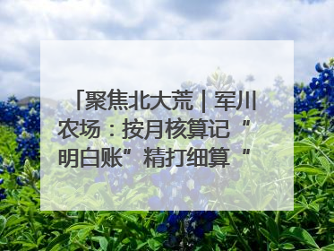 聚焦北大荒｜军川农场：按月核算记“明白账”精打细算“过紧日子”