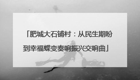 肥城大石铺村：从民生期盼到幸福蝶变奏响振兴交响曲