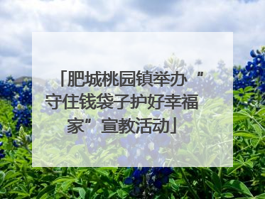肥城桃园镇举办“守住钱袋子护好幸福家”宣教活动