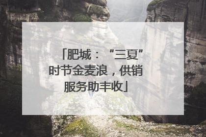 肥城：“三夏”时节金麦浪，供销服务助丰收