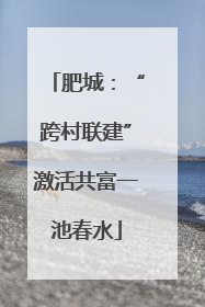 肥城：“跨村联建”激活共富一池春水