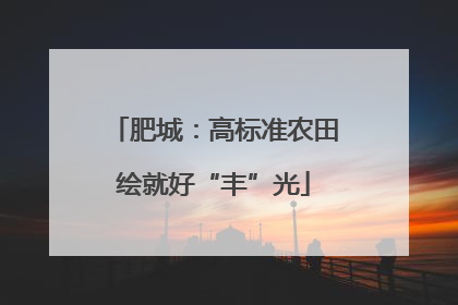 肥城：高标准农田绘就好“丰”光