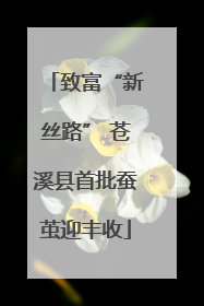 致富“新丝路” 苍溪县首批蚕茧迎丰收