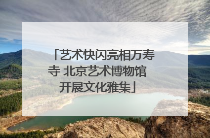 艺术快闪亮相万寿寺 北京艺术博物馆开展文化雅集