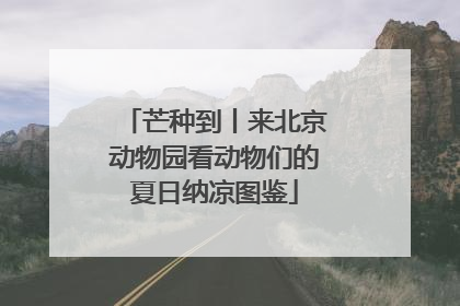 芒种到丨来北京动物园看动物们的夏日纳凉图鉴