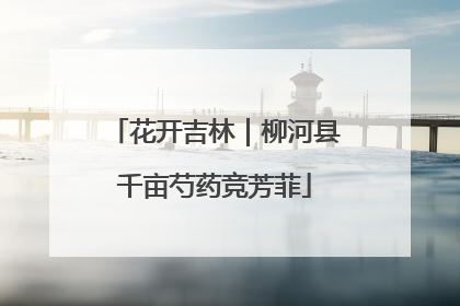 花开吉林｜柳河县千亩芍药竞芳菲