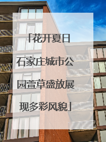 花开夏日 石家庄城市公园萱草盛放展现多彩风貌