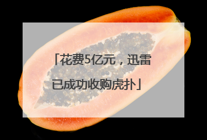 花费5亿元，迅雷已成功收购虎扑