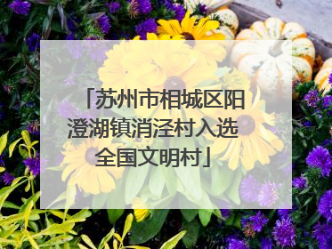 苏州市相城区阳澄湖镇消泾村入选全国文明村