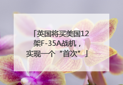 英国将买美国12架F-35A战机，实现一个“首次”