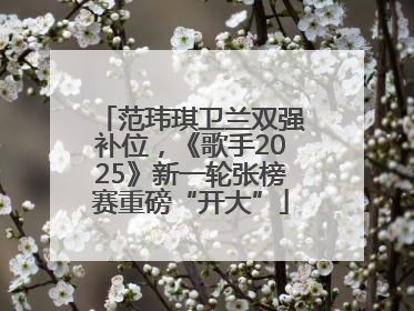 范玮琪卫兰双强补位，《歌手2025》新一轮张榜赛重磅“开大”