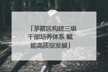 茅箭区构建三级干部培养体系 赋能高质量发展