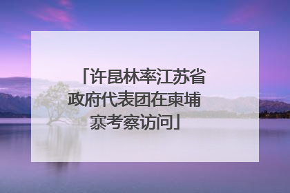 许昆林率江苏省政府代表团在柬埔寨考察访问