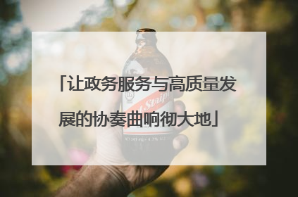 让政务服务与高质量发展的协奏曲响彻大地