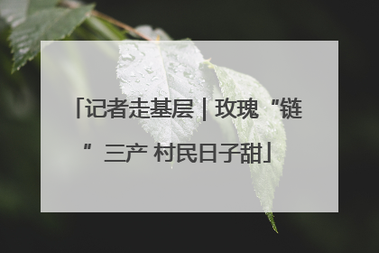记者走基层｜玫瑰“链”三产 村民日子甜