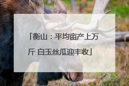 衡山：平均亩产上万斤 白玉丝瓜迎丰收