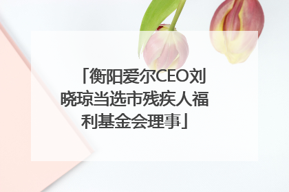 衡阳爱尔CEO刘晓琼当选市残疾人福利基金会理事
