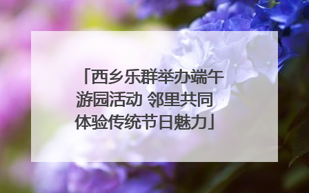 西乡乐群举办端午游园活动 邻里共同体验传统节日魅力