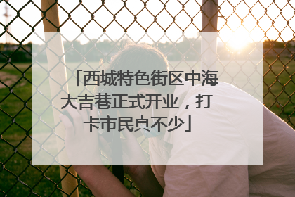 西城特色街区中海大吉巷正式开业，打卡市民真不少