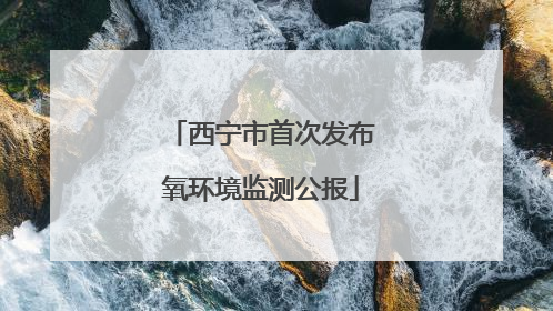 西宁市首次发布氧环境监测公报