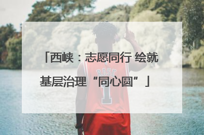 西峡：志愿同行 绘就基层治理“同心圆”