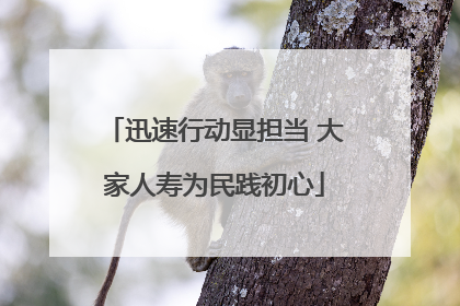 迅速行动显担当 大家人寿为民践初心