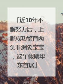 近10年不懈努力后，上野成功繁育两头非洲象宝宝，端午假期华东首展