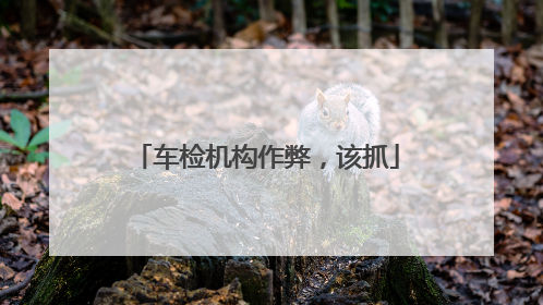 车检机构作弊，该抓