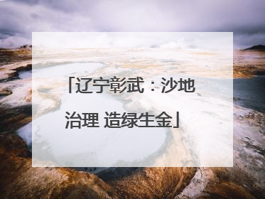 辽宁彰武：沙地治理 造绿生金