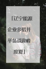 辽宁能源企业多措并举备战迎峰度夏