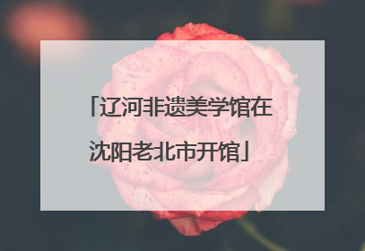 辽河非遗美学馆在沈阳老北市开馆