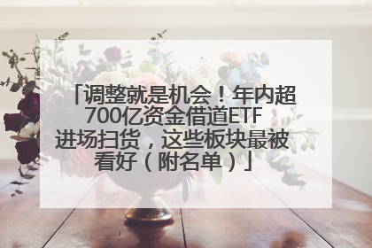 调整就是机会！年内超700亿资金借道ETF进场扫货，这些板块最被看好（附名单）