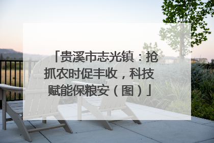 贵溪市志光镇：抢抓农时促丰收，科技赋能保粮安（图）
