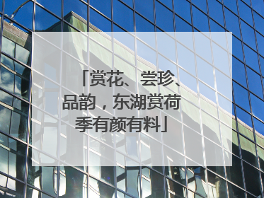 赏花、尝珍、品韵，东湖赏荷季有颜有料