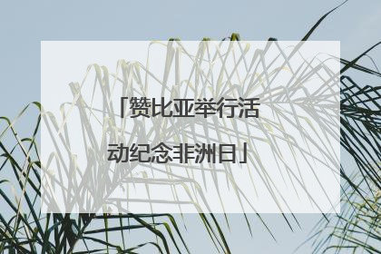 赞比亚举行活动纪念非洲日