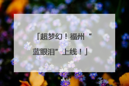超梦幻！福州“蓝眼泪”上线！