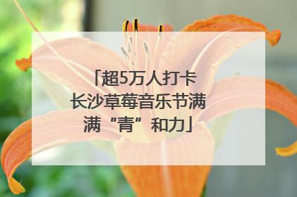 超5万人打卡 长沙草莓音乐节满满“青”和力