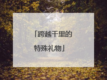 跨越千里的特殊礼物