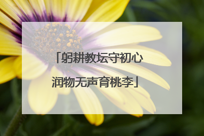 躬耕教坛守初心 润物无声育桃李
