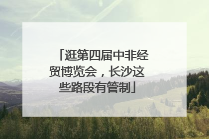 逛第四届中非经贸博览会，长沙这些路段有管制
