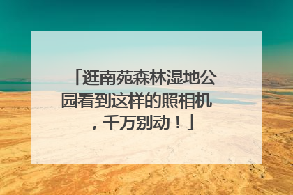 逛南苑森林湿地公园看到这样的照相机，千万别动！