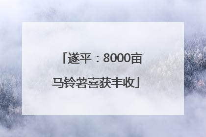 遂平：8000亩马铃薯喜获丰收