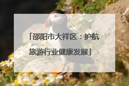 邵阳市大祥区：护航旅游行业健康发展