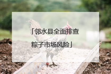 邻水县全面排查粽子市场风险
