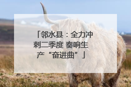 邻水县：全力冲刺二季度 奏响生产“奋进曲”