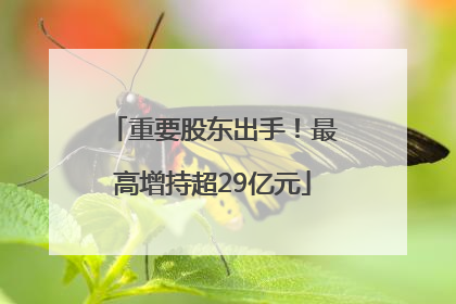 重要股东出手！最高增持超29亿元
