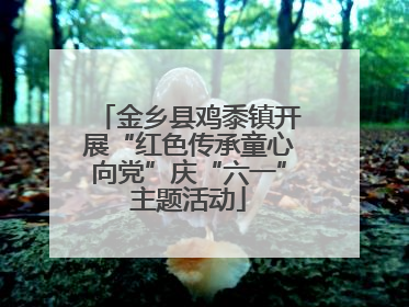 金乡县鸡黍镇开展“红色传承童心向党”庆“六一”主题活动